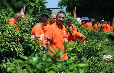 震驚：50元買一只紅蜘蛛？!——這一次，果農(nóng)們有話要說