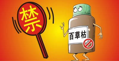 百草枯將被禁用！？滅生性除草劑市場進入洗牌期，誰能搶占先機？                   來源于  農(nóng)資與市場  王奕
