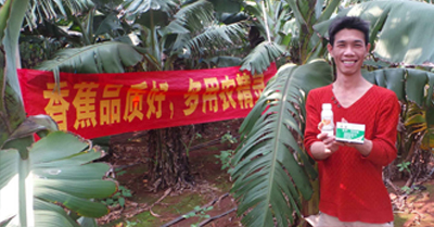 差距這么大， 是真的嗎？ 銀農(nóng)故事匯—香蕉篇