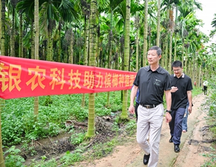 不斷創(chuàng)新納米農(nóng)藥，“銀農(nóng)三寶”助力檳榔提質(zhì)增收